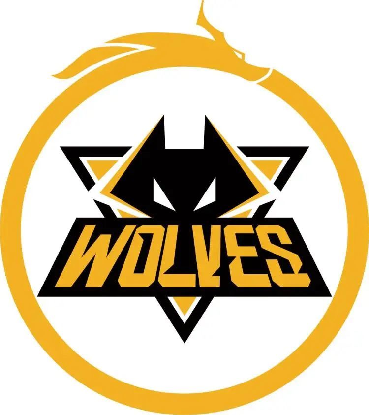 投打穿内线 投打穿内线